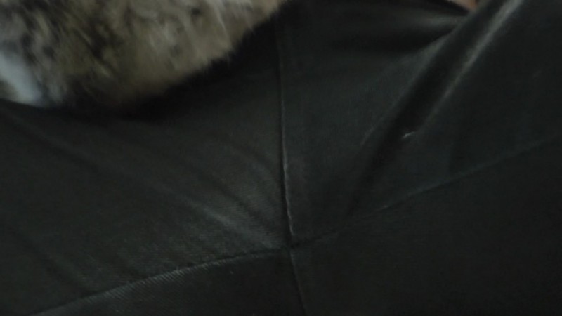 1771688289029019.jpg