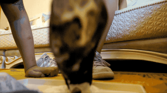 177192714506002.gif
