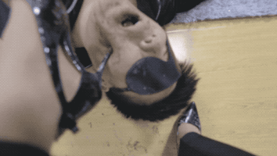 1771927728036003.gif