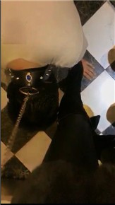 1772204716016010.jpg