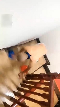 1772208626013002.jpg