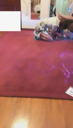 1772208631019008.jpg