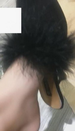 1772246969012007.jpg