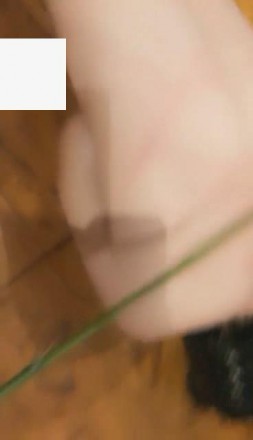 1772246945047004.jpg