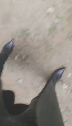 1772250272031006.jpg