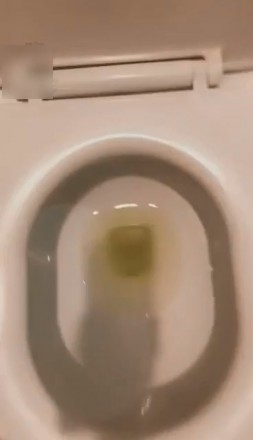 1772250534031003.jpg