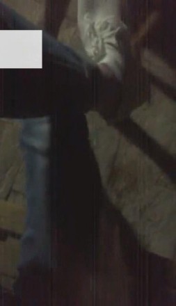 1772253566033004.jpg