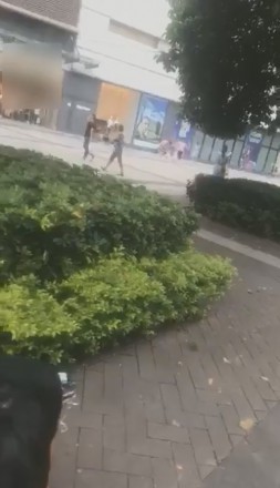 1772253558043002.jpg