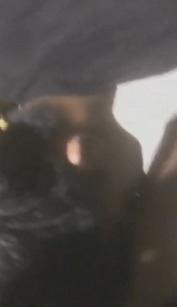 1772253569049004.jpg