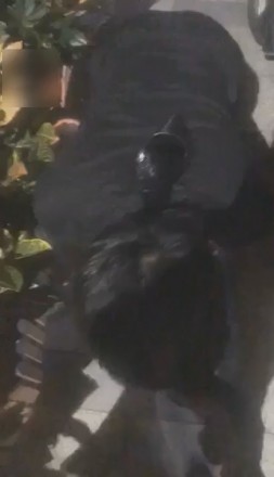 1772253561049003.jpg