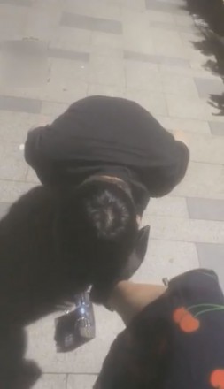 1772253593049007.jpg
