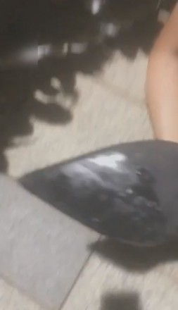 1772253608049009.jpg