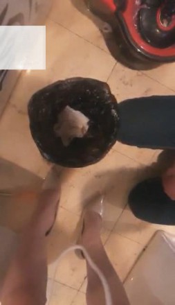 1772253693020002.jpg