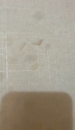 1772275258022008.jpg