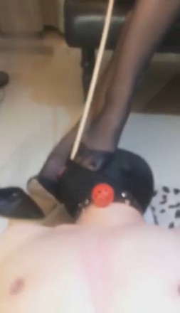 1772277483029008.jpg