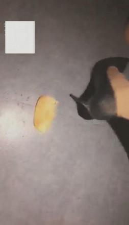 1772277977061011.jpg