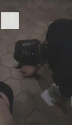 1772278846059008.jpg