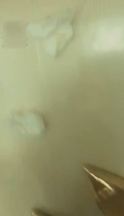 1772307837045007.jpg