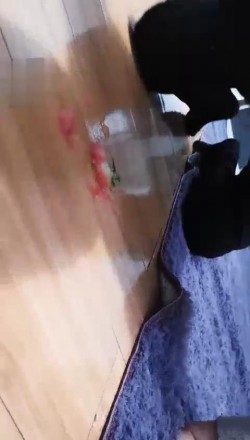 1772304233032010.jpg