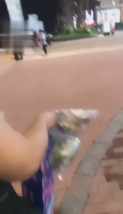 1773258280066012.jpg