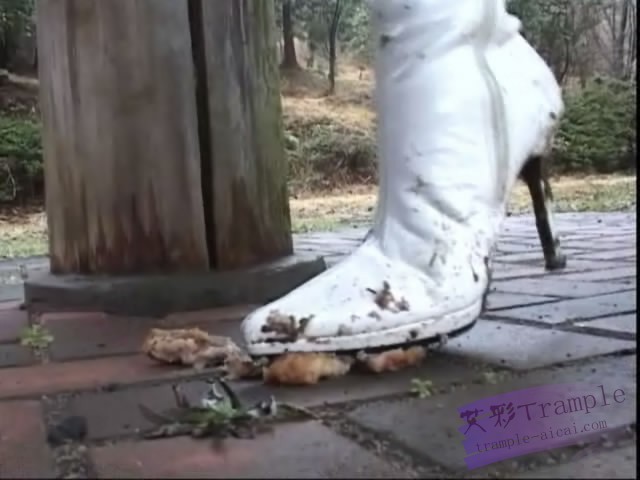 177451919802015.jpg