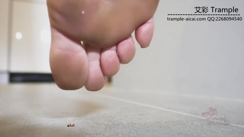 1778049991135010.jpg