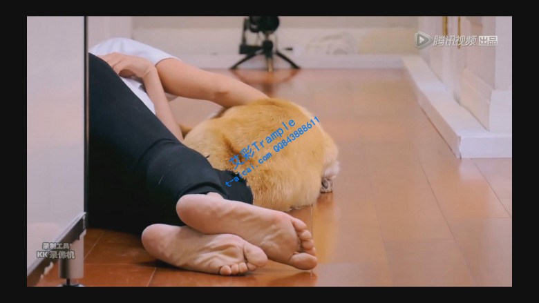 1780313034041042.jpg