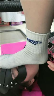 1781584237036005.jpg
