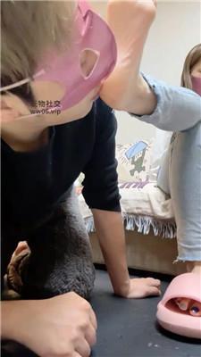 1781584588179007.jpg