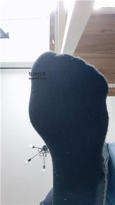 1781585601114001.jpg