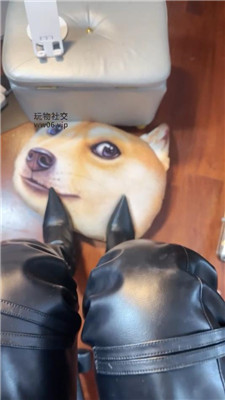 1781585645156010.jpg