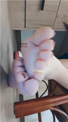 178568358701004.jpg