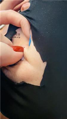 178575914426005.jpg