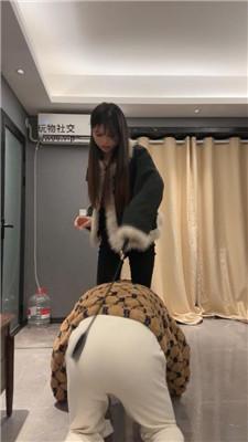 178575984534003.jpg
