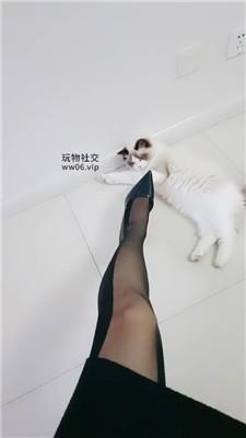 178667493826101.jpg
