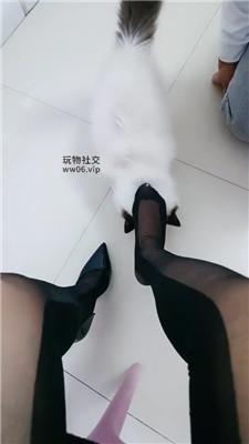 178667493826104.jpg