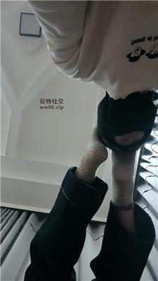 178667508050911.jpg