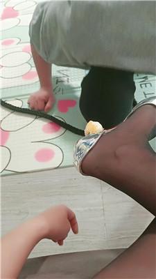 178836045501308.jpg