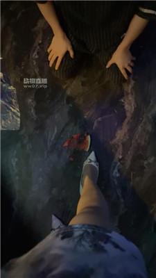179303009118410.jpg