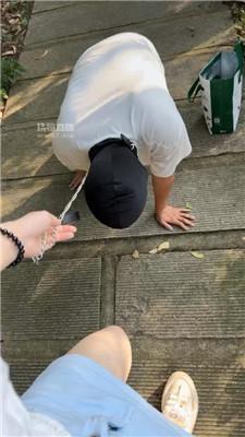 179303010075502.jpg
